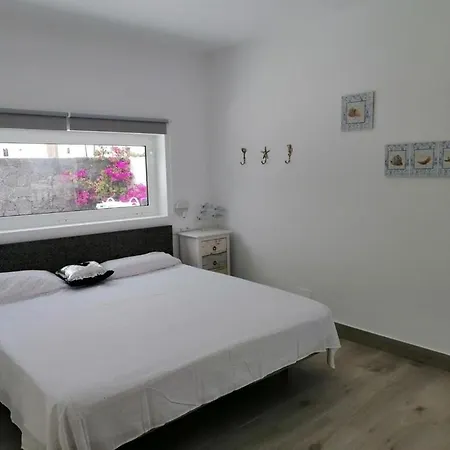 Alba Deluxe & Pool Vila