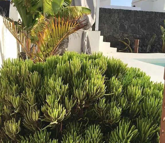 Alba Deluxe & Pool *