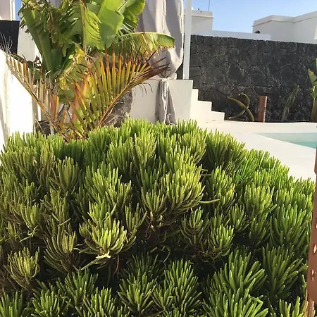 Alba Deluxe & Pool *